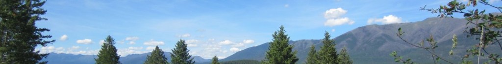 In Case You Missed it