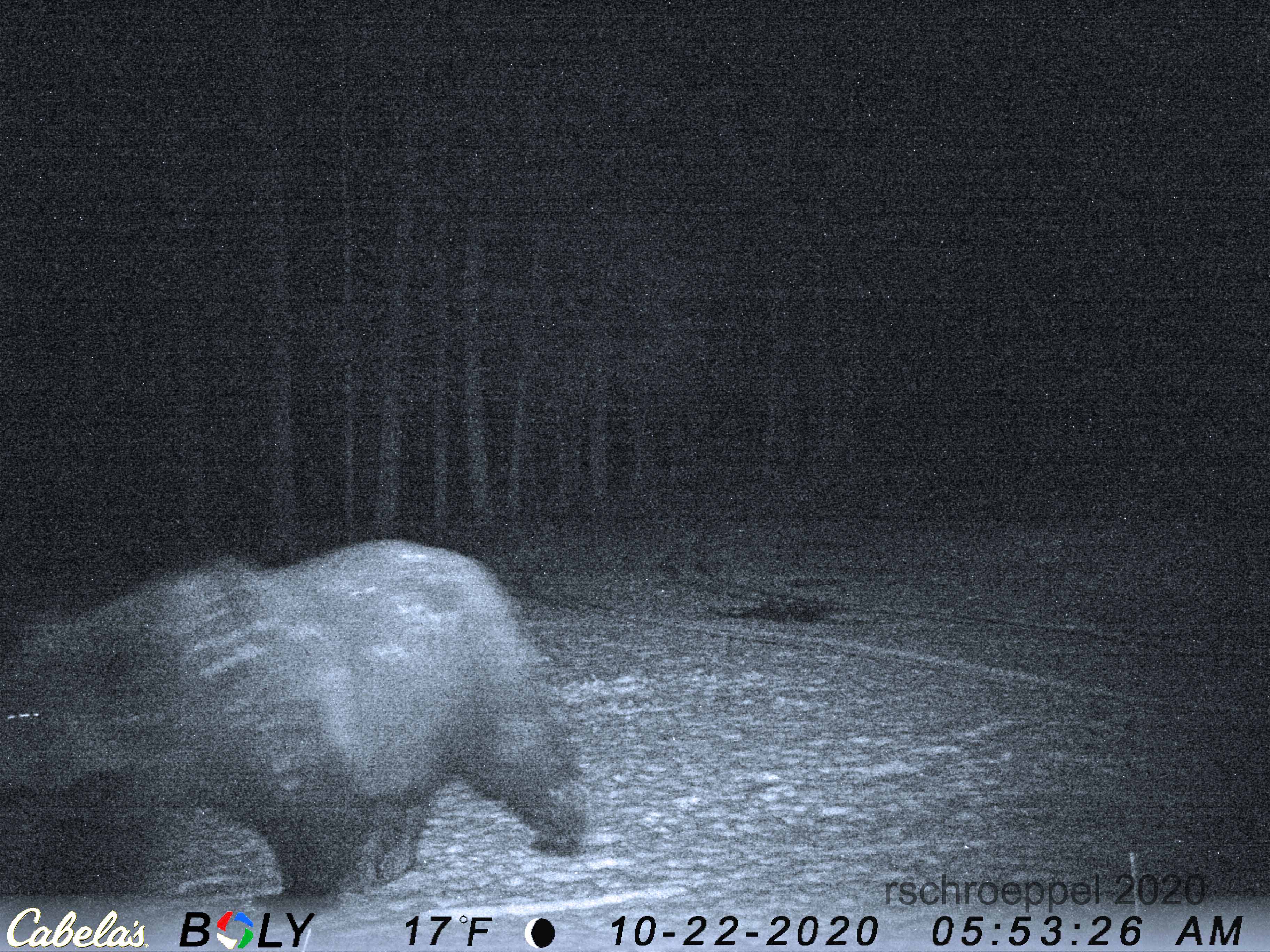 Game Camera Fails