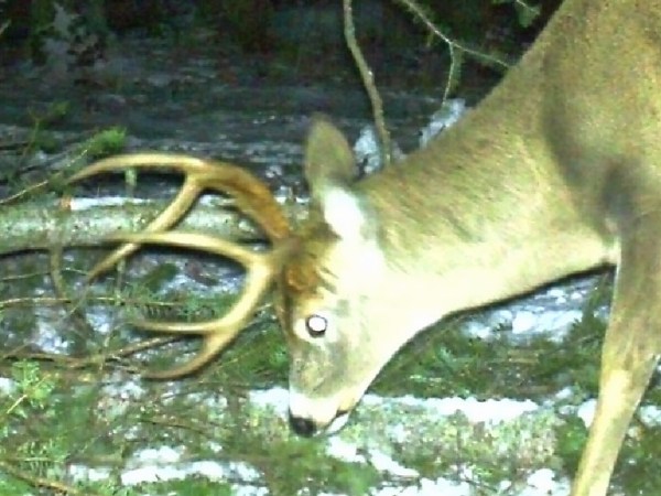 Do You Recognize this&nbsp;Head?