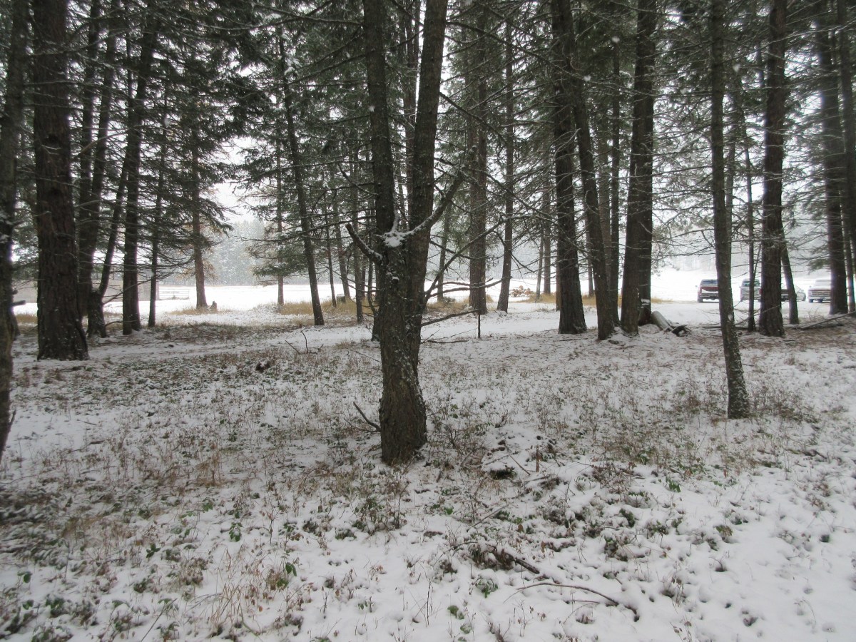 Remnants of an&nbsp;Industry