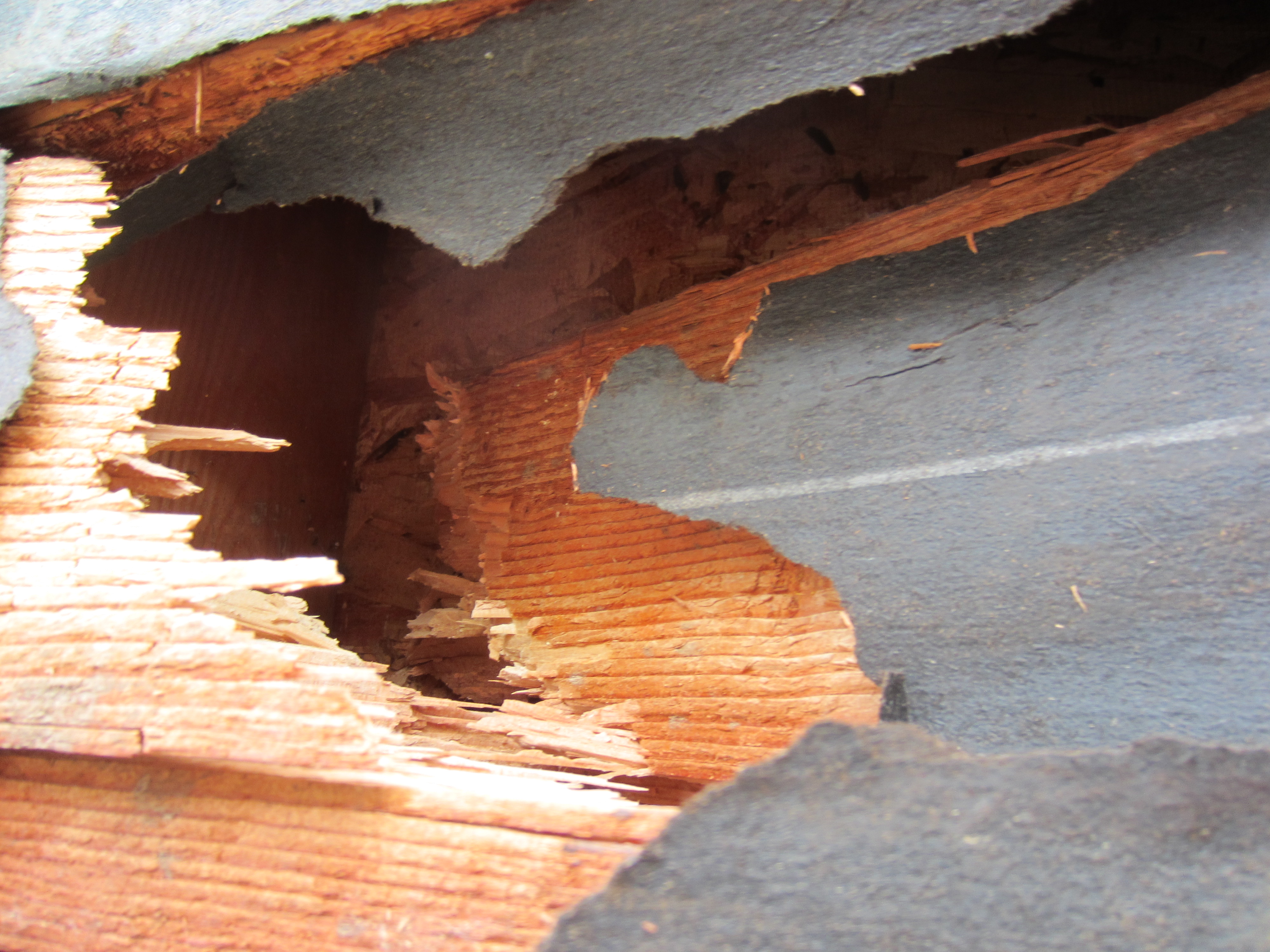 Damage to the Civic Center