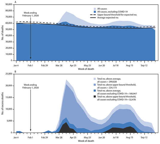 The Excess Death Data is Available from the CDC