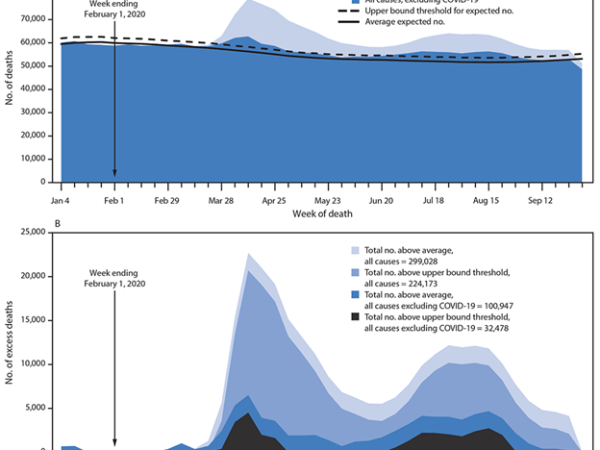 The Excess Death Data is Available from the&nbsp;CDC