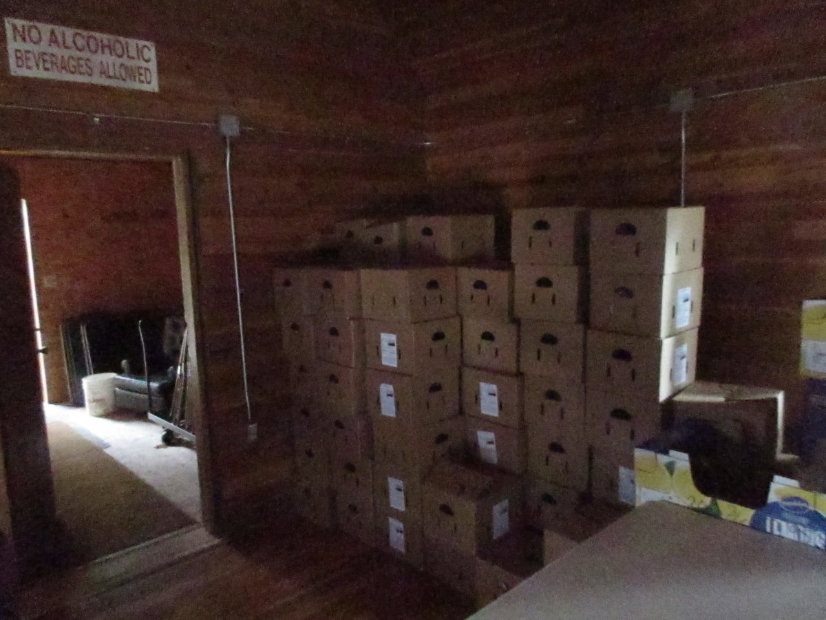 Free Food Boxes were at the Community Hall&nbsp;Saturday