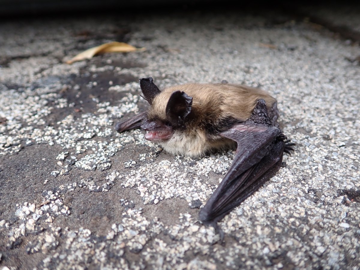 Neighbors with similar&nbsp;interests.