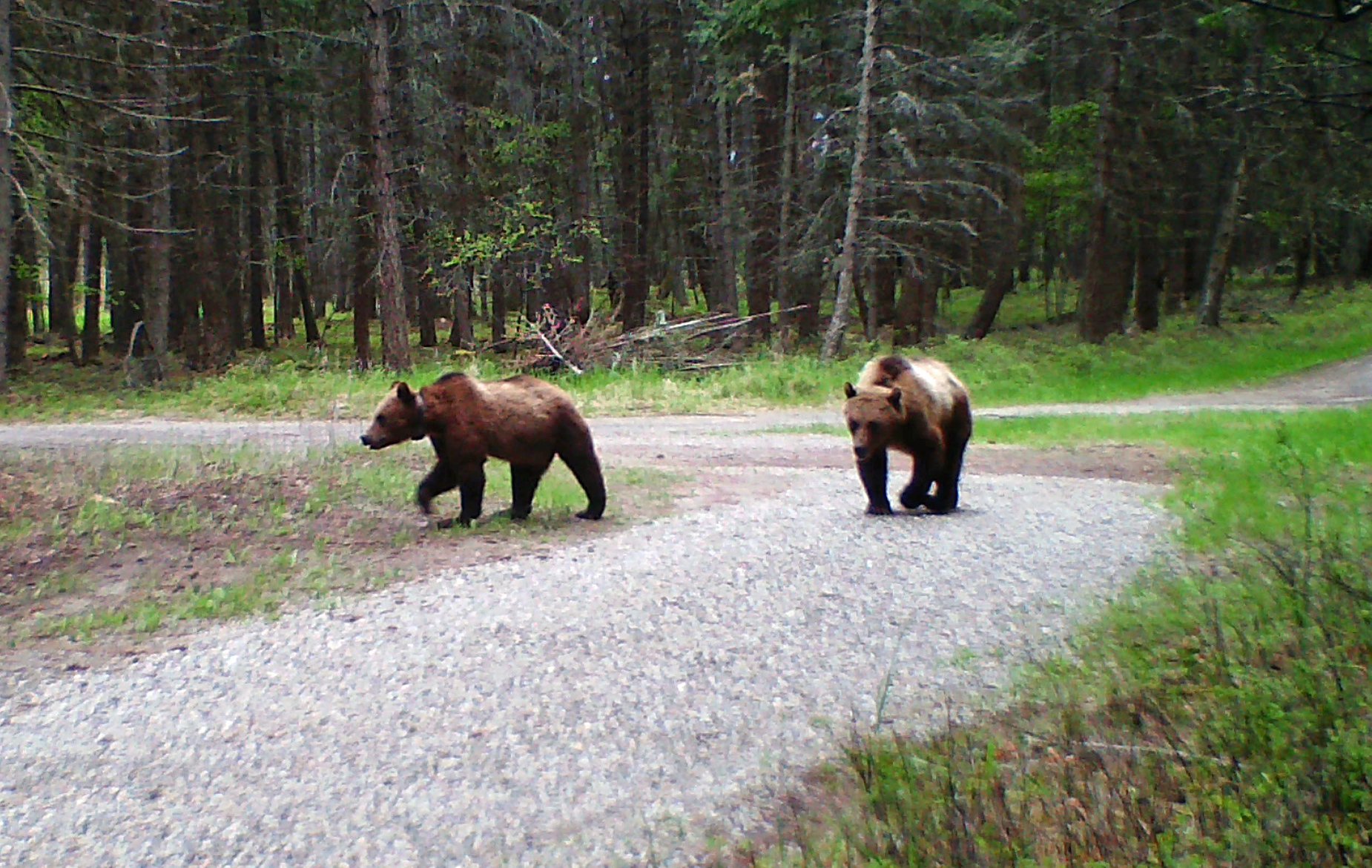 Looking Back on Jedidiah’s First days in Trego