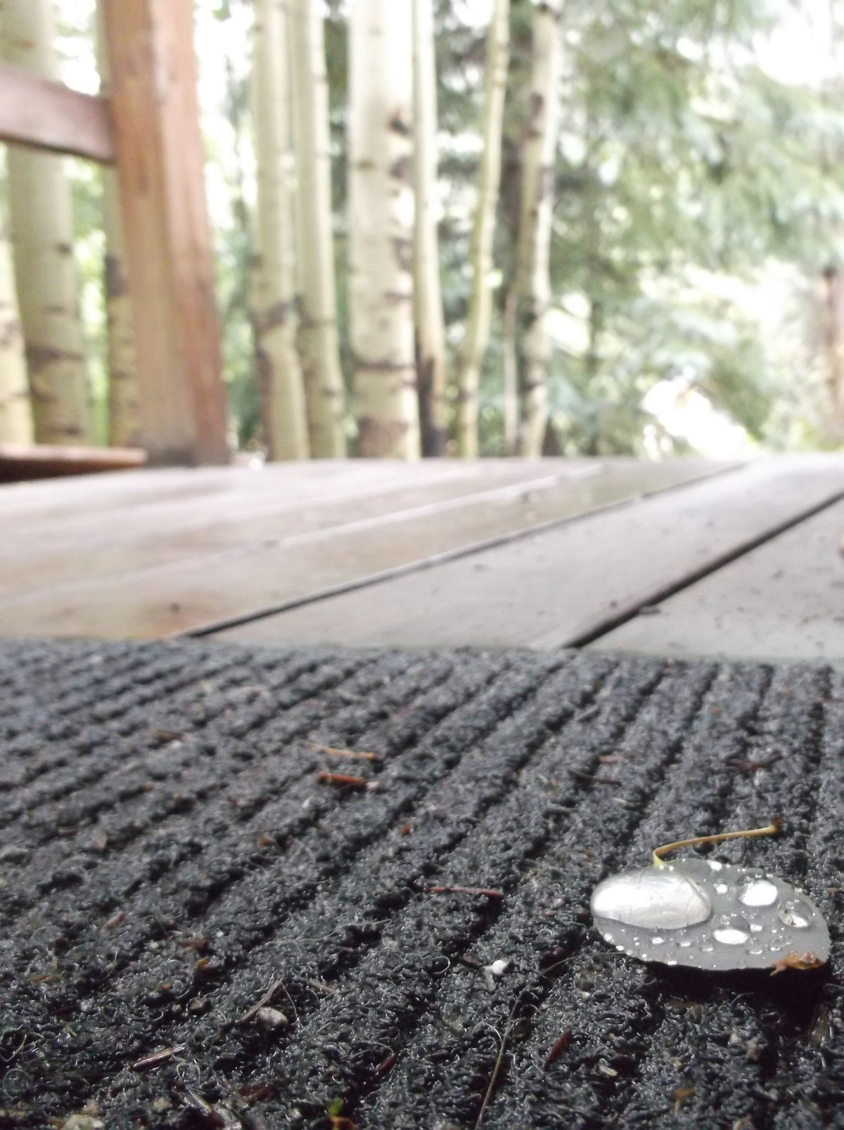 Weird words: Petrichor, stone’s&nbsp;blood.