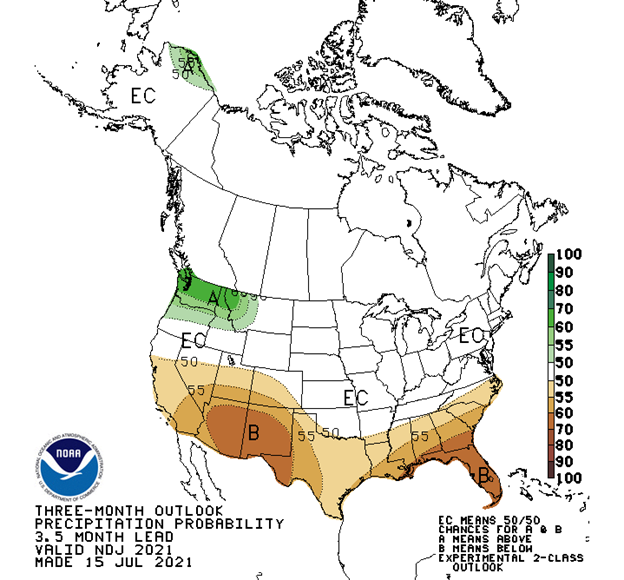 Our Predicted Weather