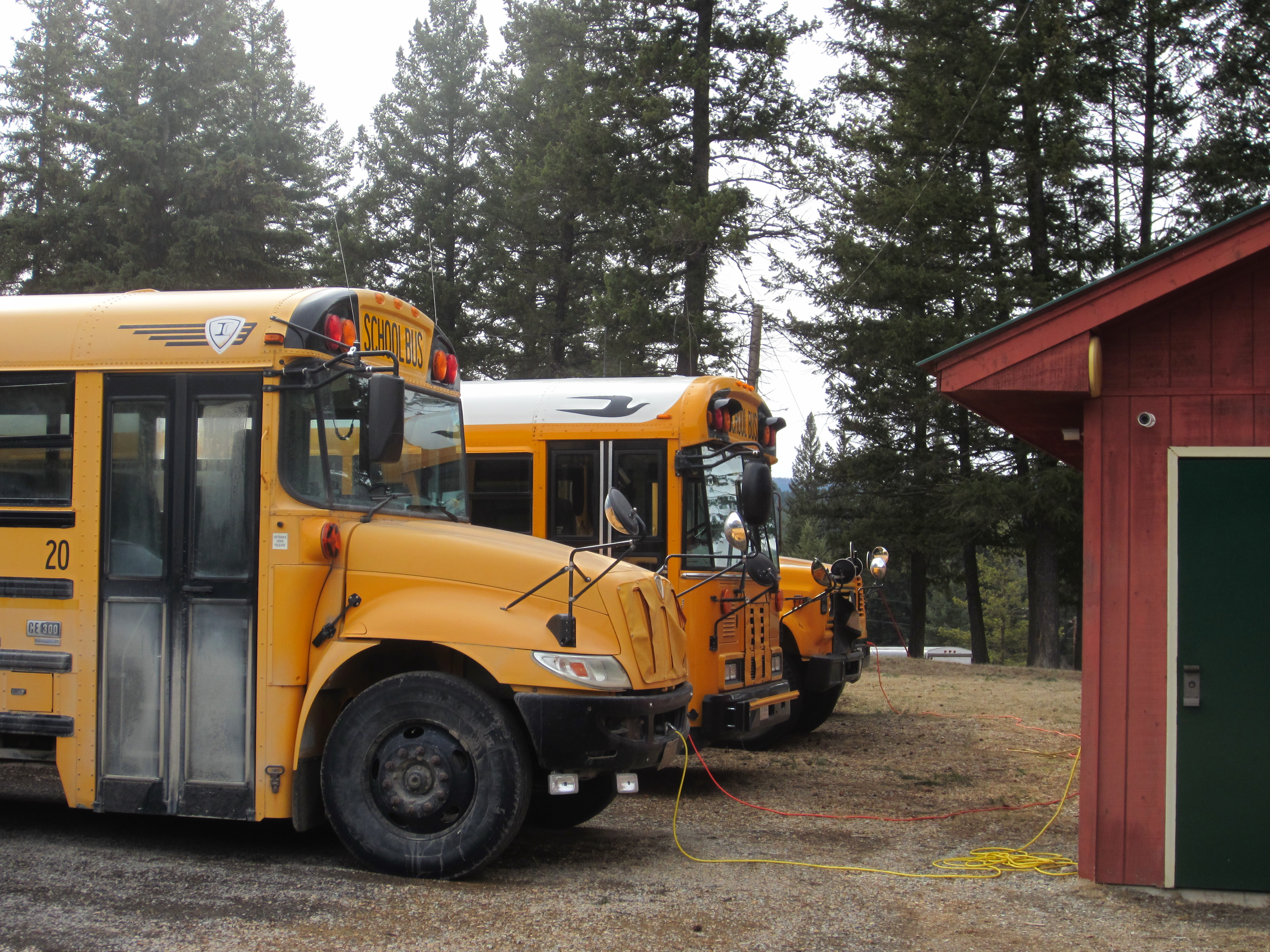 Back At The School Board