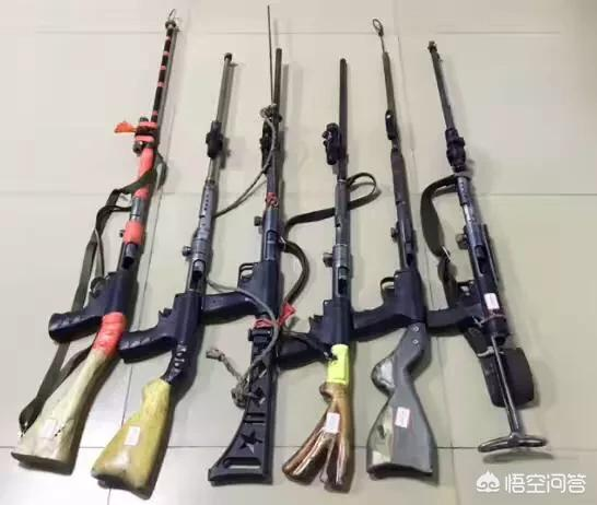 No Second Amendment in China